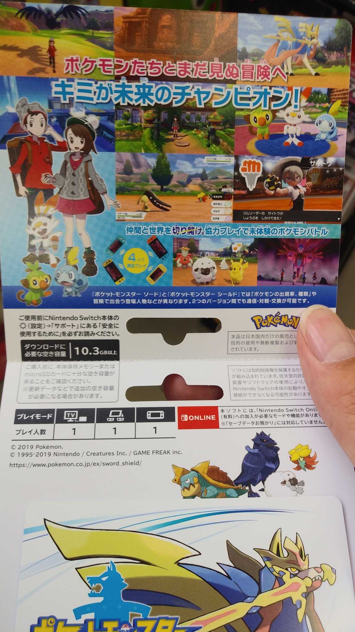 Pokemon Sword and Shield File Size