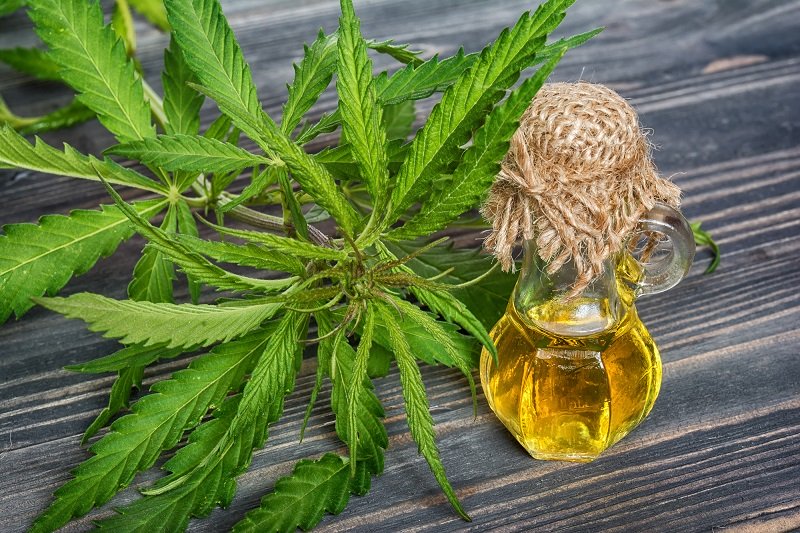 How CBD Healthy Hair