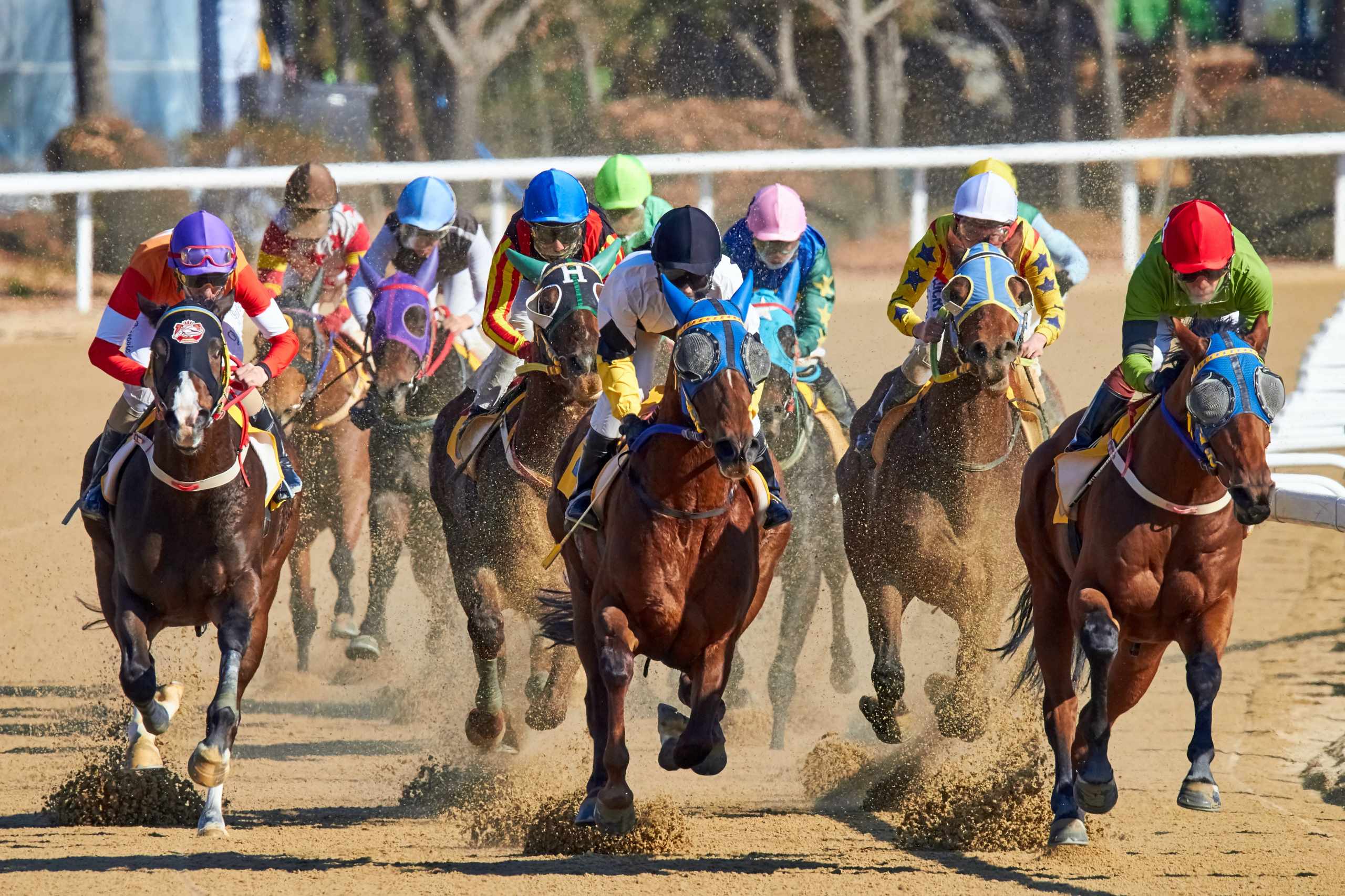Virtual World and Horse Racing