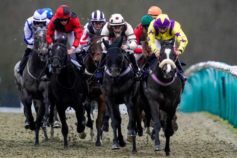 Horse Racing Betting Tactics