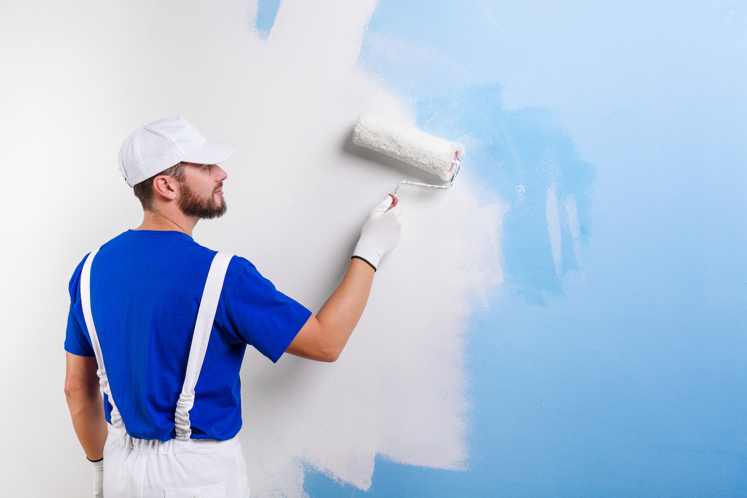 a Professional Painter