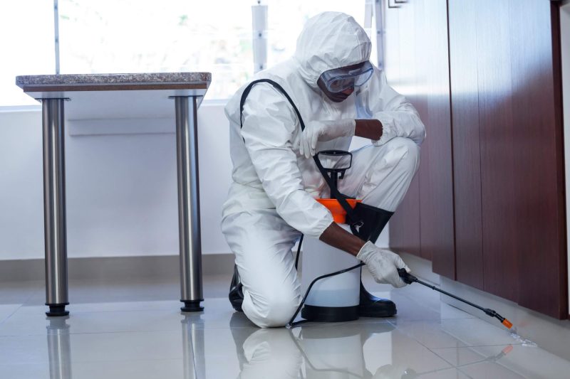 professional pest control